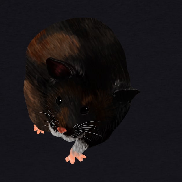 Syrian Hamster by Blacklightco